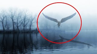 Angels Caught On Camera | Spotted In Real Life | 2026