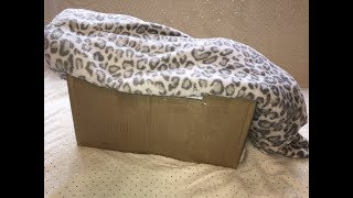 My First Custom Reborn Baby Doll  Box Opening !!