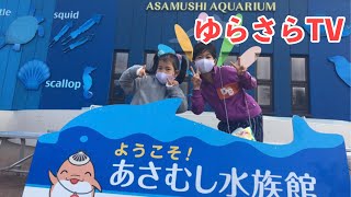 【浅虫水族館　前編】青森といえば浅虫水族館！ナマコさわったw 【シングルファザー子育て生活】【青森】