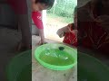 Adu Gansing Heboh || Raksasa Vs Cilik #shorts #shortsvideo #shortsfund #shortvideoviral