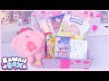 Unboxing “Kawaii Box” Monthly Cute Subscription Box from Japan