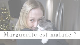 POSTMAS 7 - Marguerite est malade ?