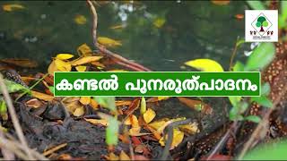 കണ്ടൽ പുനരുത്പാദനം I Mangrove Nursery