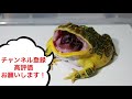 10000000000以上の生物を飼育します