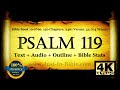 The Book of Psalms | Psalm 119 | Bible Book #19 | The Holy Bible KJV Read Along Audio/Video/Text