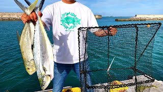 釣った大物を罠に入れて高級食材を狙う2日間のドキュメンタリー