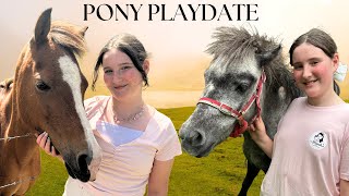 PONY PLAYDATE