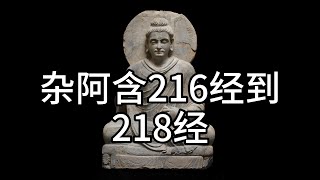 杂阿含216经到218经，中文白话翻译（176）