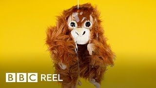 The 'deadly food' we all eat - BBC REEL