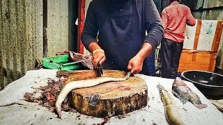 River Fresh Vaam Eel Fish Cutting Video By Mh Fish Cutting Skills