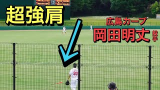 【超強肩】２０１５ドラ１岡田明丈投手（広島東洋カープ）の遠投【由宇練習場】