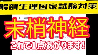 解剖生理国家試験対策　末梢神経編