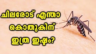 Facts Behind Mosquito Bite | Oneindia Malayalam