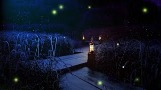 Night Ambient Sounds, Frogs & Crickets After Rain, Swamp Sounds for Deep Sleep