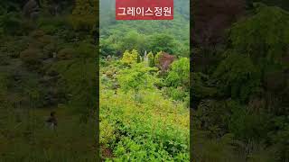 경남 고성 그레이스정원 #창원 #진주 #통영 #가볼만한곳