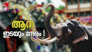 ആനകൾ റേഷൻകട കുത്തി തുറക്കുന്നത് എന്തുകൊണ്ട് ? | Elephants In Kerala | Dileep | On The Dot Media