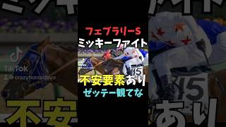 【フェブラリーS2025】不安要素ありミッキーファイト#競馬 #フェブラリーS #ミッキーファイト