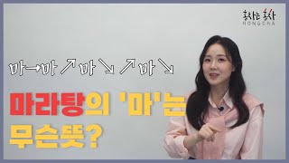 중국어 첫걸음 | 성조\u0026발음 쉽고 탄탄하게 다지기