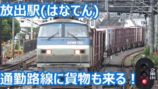 【4扉通勤型の楽園にちょろっと貨物】学研都市線・おおさか東線 放出駅 発着集【古兵201系・207系・321系・貨物列車】