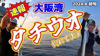 【必見！】シーズン最速！？タチウオ釣果情報in大阪湾！ジグとテンヤどっちが釣れる？