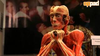 Visit to Gunther von Hagens BodyWorlds in Guben