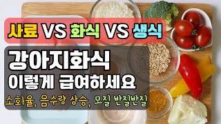 사료vs화식vs 생식, 이렇게 먹었더니 12살 강아지!  5년 젊게 사는 강아지화식 법칙