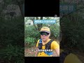 越野跑上半身的練習 trailrunning run running trail shorts 路跑 sports 越野跑 運動 跑步 推薦