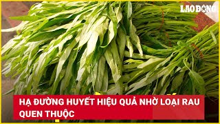 Hạ đường huyết hiệu quả nhờ loại rau quen thuộc | Báo Lao Động