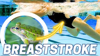 Fastest way to learn breaststroke for beginners | Breaststroke 101 guide