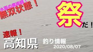 【速報！高知県釣り情報】ナブラにボイルで無双状態の堤防はここだ！！