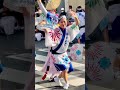 【東京新のんき連】豪華共演！東京天水連＆舞蝶連に続き踊り込む！のんき調炸裂の輪踊り！ 東京新のんき連 柿岡城まつり 阿波おどり 祭り まつり 20241117