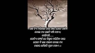 ଗଛଟିଏ ମରିଗଲା ପରେ... #whatsappstatus #youtubeshorts #motivation #odiamotivational #viral #sad #odia