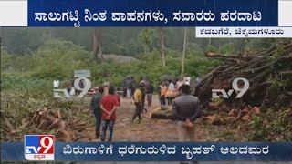 Vehicle movement comes to a standstill in Chikkamangaluru highway after a giant tree collapses