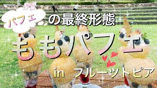 水車の里フルーツトピアさんでももパフェ食べてみた！【岡山県矢掛町】