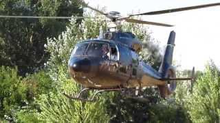 Aerospatiale SA 365 C3 Dauphin helicopter landing- takoff at Prestige Heliport