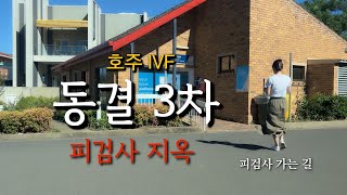 3차 동결 시험관 브이로그 에피소드 1 (벌써 3차.. 몇차까지 가려나..)