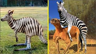 Scientists Made These Animals By Force #hybridanimals