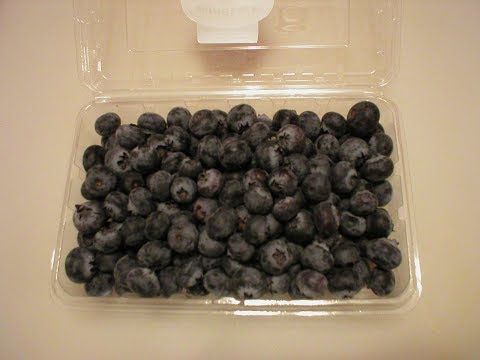 Choose the tastiest pint of blueberries in the store with a few simple tips