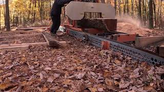 quarter sawing some beautiful oak boards