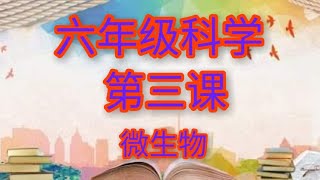 六年级科学 第三课 微生物