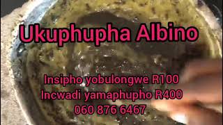 Ukuphupha Albino /Isphiwo kusho lokhu