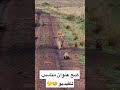 ضع عنوان مناسب للفيديو ابداع عنوان انستا