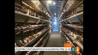 Iran East Azerbaijan province, 232 Chicken egg farms report پرورش مرغ تخم گذار استان آذربايجان شرقي