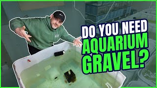 Aquarium Gravel for your Shrimp Tank [Shrimp Saturday]