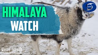 Himalaya Watch - Ep # 02