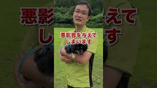 【暴露】実は犬が嫌いなニオイ5選