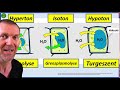 diffusion und osmose operatoren begründen vermuten osmotische zustandsgleichung zellwanddruck