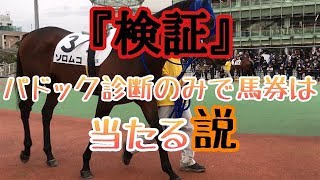 【競馬検証】これを見ればパドックの重要性が分かる動画