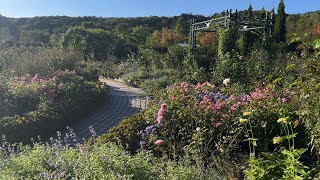 2024年9月23日　北海道　恵庭市　えこりん村　銀河庭園　薔薇　宿根草