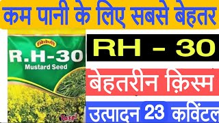 RH 30 Sarso || RH30 MUSTARD || sarso ki kheti || Sarso ki Research kism #MANDIONLINE